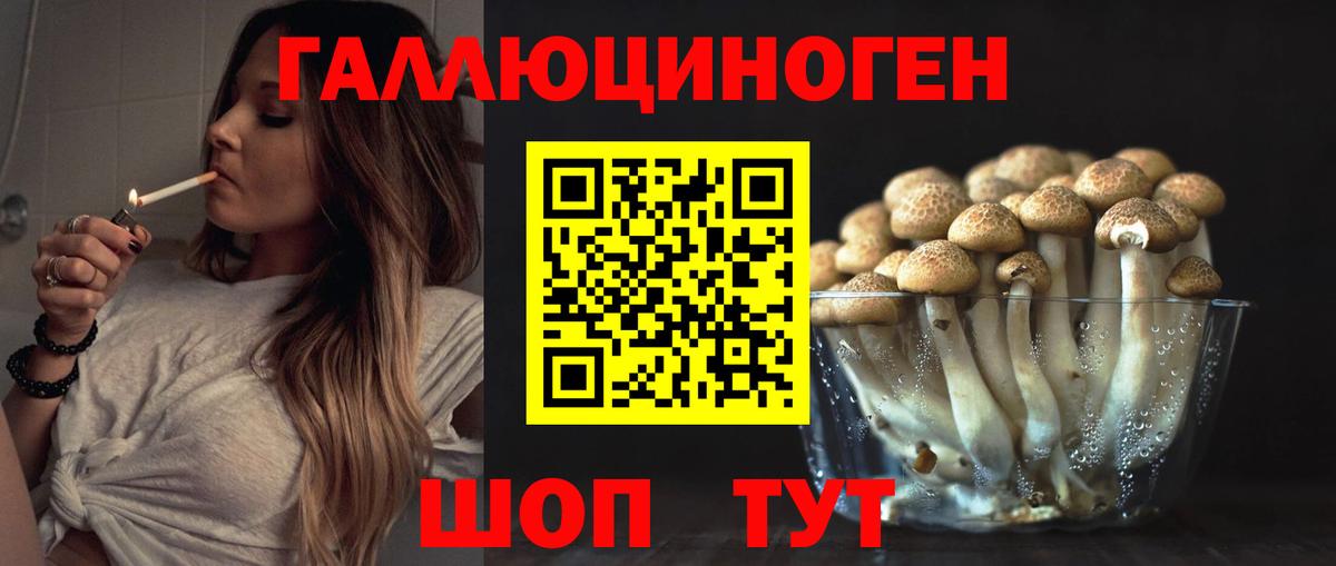 Галлюциногенные грибы MAGIC MUSHROOMS  где купить наркоту  Касимов  Вход с VPN 