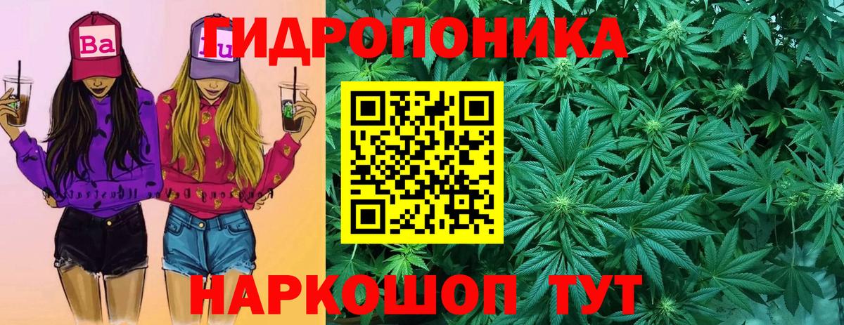 Конопля марихуана Касимов
